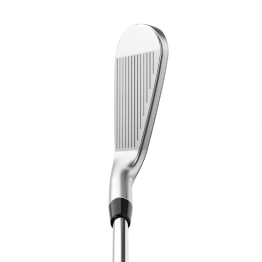 Apex Pro Irons Steel Shafts