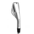 Apex Pro Irons Steel Shafts