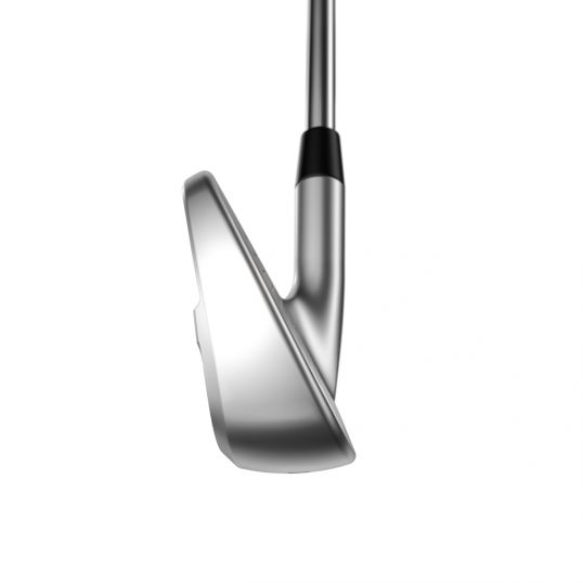 Apex Pro Irons Steel Shafts