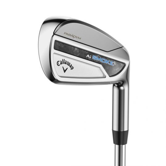 Paradym Ai Smoke Irons Graphite Shafts