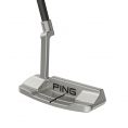 Anser D Putter